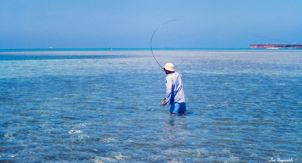 Dry Tortugas