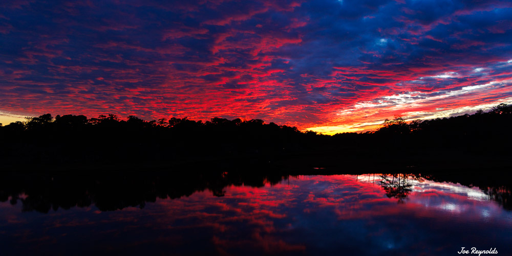 Manklin Sunset