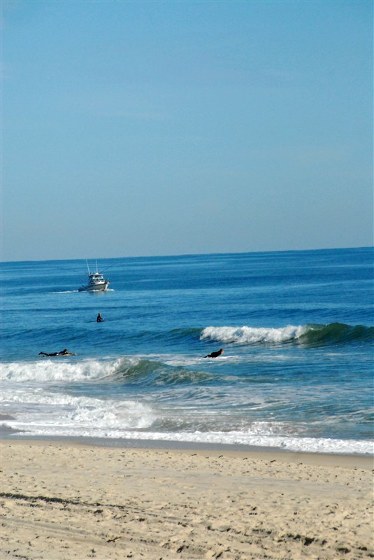 Assateague