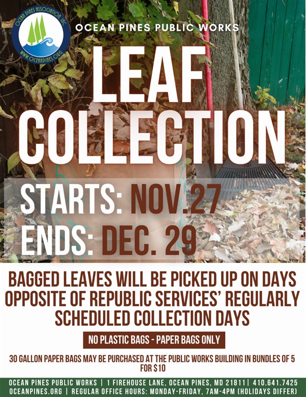 Leafe acollection