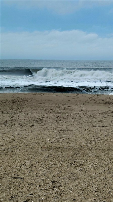 Assateague Nov 22 / 24