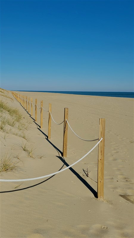 cold day at the beach 