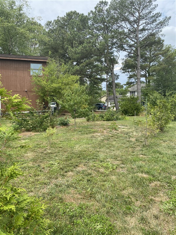 Lawn Maint Before