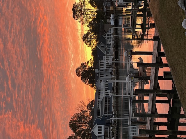 Sunrise at Teal Circle