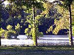 South Gate large pond as viewed from Manklin Creek Road. Ocean Pines, Maryland.