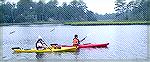 Kayakers paddle up Manklin Creek. In red kayak is forum member JoAnn (Valhalla).
