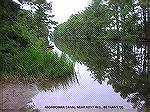 Assawoman Canal at paddler launch site at Kent Ave, Bethany, DE.  Looks like good place for kayaking/canoeing.