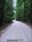 Typical road in Assawoman Wildlife Area southwest of South Bethany, DE.  Area has 3 boat-launch sites.  Sassafras Landing has a small beach section on Miller Creek - may be best for paddlers.  Strawbe