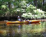 Floating with the tidal current on the Assawoman Canal (Bethany Beach, DE), Sally Kohler decides paddling is too much work.