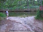 Launch area on the Assawoman Canal at Kent Ave.