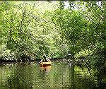 Corker's Creek is a very calm, peaceful place to kayak.