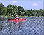 The small creeks and branches off the Saint Martin River are nice peaceful areas to paddle.