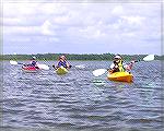 Part of a group of kayakers & canoers who paddled from Gum Point Landing on Turville Creek to Herring Creek.  9/3/2004