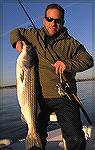 Tom Schanno, Joe Schanno's brother, with a 35-inch striper caught casting bucktail near Route 50 on 11/27/2004.
