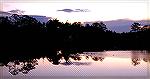 Dusk on Manklin Creek looking up Jake's Gut. 12/11/2004.