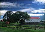 This photo was taken in Carroll County, MD.  It is typical of the barns in the area.