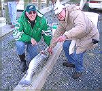 Charlie Herpen [L] and Bill Haag debate the size of a Rock caught off Cape Charles on Ocean Pines Anglers Club trip.