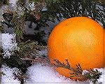 Photo of an orange submitted for the Ocean Pines Camera Club Feb. 2005 contest as a vehicle for experimenting with lighting and composition.  Taken in light overcast on 1/24/05, about 3:15 PM on west 