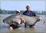 As polluted as it is one big advantage of the runoff from chicken farms into the St. Martins has been the extraordinary size of the catfish. Here is a picture of a couple of Ocean Pines Anglers proudl