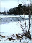 Couldn't resist the icy South Gate Pond.  January in Ocean Pines.
