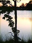 Quiet time,twilight at South Gate Pond.
