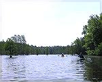 Some of the kayakers from the Ocean Pines Paddle Club on Trap Pond in Delaware's Trap Pond State Park.  6/1/2005.