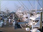 View looking down the dock at Sunset Marina during 2005 White Marlin Open.  