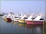 View of some pretty [expensive] boats at Sunset Marina in for the 2005 White Marlin Open.