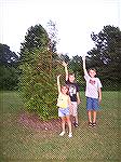 Gracie, Luke and Daniel Barnes check heighth of Dawn Redwood planted by their Grandfather at North Gate 2 years ago. At that time it was less than 3 feet tall!