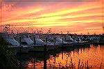 This picture was taken on Aug 22 at Sunset Marina in West Ocean City. 
