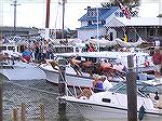 picture of the boys swim race taken at the Deal Island Skipjack festival on Labor Day 2005.