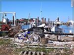 Bikes and golf carts are the preferred mode of transportation on Tangier Island