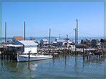 These crab shedding shanties are the most prominent feature upon entering the Tangier island harbor.