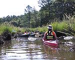 Kayakers in a narrow spur of Herring Creek south of Route 50 on Sept. 11, 2005.  (Photo for kayak trip reports on the message board - Messages 234572 and 235050).