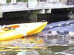 9/20/2005:  Returning to the floating kayak dock at Martinak State Park requires hitting the dock with enough speed to slide up onto the dock - not easy. (For a kayaking trip report on message board -