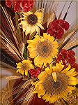 Great sunflower arrangement at the Garden Club event at the Ocean Pines Library 10-14-05.  Digital photo taken with a Finepix.