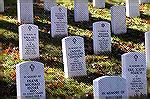 Nov Photo Contest.  Taken at the Arlington National Cemetary Nov 25, 2005. Almost 300,000 servicemen/women and their family members rest in the 624 acres of the cemetary.  About 24 burials are conduct