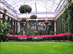 Photo taken by Judy Duckworth on trip to Longwood Gardens on 12/1/05.

Digital Camera - Konica Minolta DiMage Z1.

