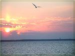 One of those wonderful evenings at Fager's Island.  Got lucky with the bird at just the right moment.
Taken with a Fuji Finepix.