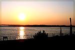 Picture was taken at the end of the Boardwalk in Ocean City, overlooking Assateague.
Betty Daugherty