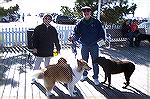 Richard and Vicki Stafford shown with Focus On The Pines star King and two adoption candidates from the Humane Society during the annual Board Walkin' For Pets in Ocean City. The Staffords live in Oce