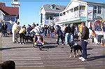 The last weekend in April brings the annual Board Walkin' For Pets to Ocean Citys Boardwalk. The event benefits the Worcester County Humane Society.
