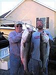 Ed Adelhardt of Ocean Pines, and son Kip pictured with their 41 and 37 inch rockfish caught in the Chesapeake, about 20 miles south of the Bay Bridge, during the spring trophy season.