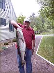 Rich Abbott of the Ocean Pines Anglers Club caught this 38 inch rockfish on Thursday, May 11, 2006 at Assateague Island south of the bullpen at 10:30 am on the outgoing tide using cut up bunker.  He w