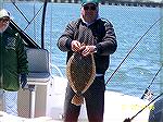 George Wood displays his 24 1/2" Flounder shortly after boating the fish just North of the Rt50 bridge. It was good enough for first place in the Ocean Pines Anglers Club annual Flounder Frenzy tourna