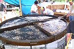 Billed as the Worlds Largest Frypan it was being put to good use by the Lions Club, raising money for charity, at the DelMarVa Chicken Festival in Snow Hill.