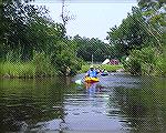 7/10/2006:  Kayakers on the Massey Branch of Marshall Creek.
(See Kayak Club trip report, Msg# 348801.)