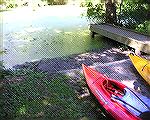 The boat ramp at Trussum Pond near Laurel, DE (For Msg. # 360140 on kayaking on Trussum Pond).