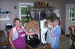 Debbie Hayes, owner of Puttin On The Dog in Bishopville, gives an inspirational talk to King as she and assistant Betty prepare to groom him for the upcoming school season.   