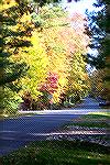 Looking down Newport Drive on a beautiful fall day in Ocean Pines